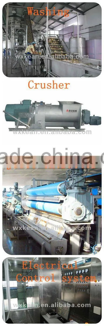 Good quality Automatic NFC apple juice processing line manufactured in Wuxi Kaae