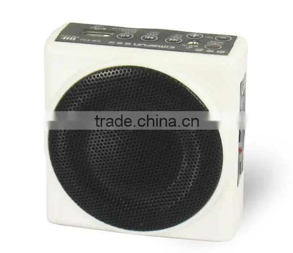 Multifunctional mini voice amplifier with TF port K-E82