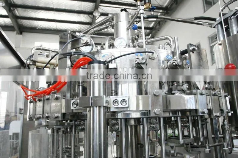 DCGF18-18-6 Automatic Bottling Machine