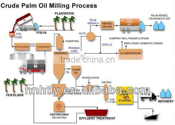 Certified palm kernel oil extraction machine, palm oil extraction machine price
