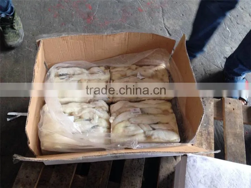 frozen squid fish eggs Illex squid Argentinus eggs