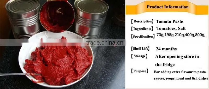 GINNY quality Tomato Paste, Tinned Tomato Paste 28/30