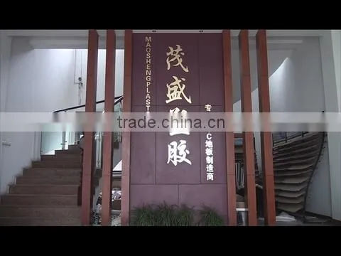 Dongyang Maosheng Plastic Co., Ltd. company overview - view 1