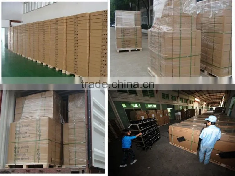60w Poly Solar Module