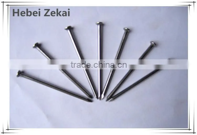 High quality common iron nails/iron wire nails price