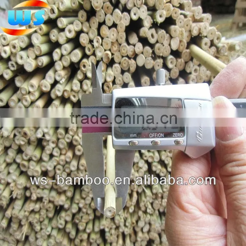 Bamboo Products/Support plant growing bamboo cane 120cm 8--10mm