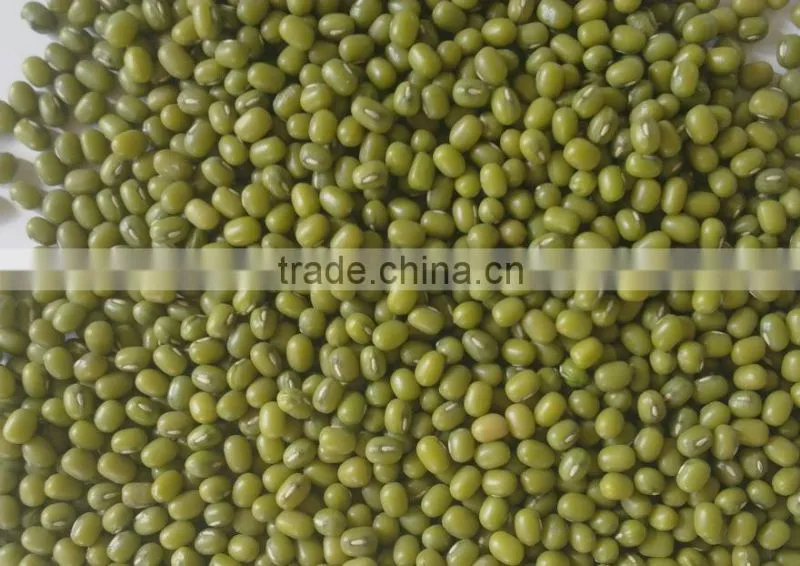 Top quality green mung beans