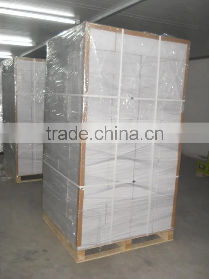 Water Soluable Paintball Balls From China Manufacturer