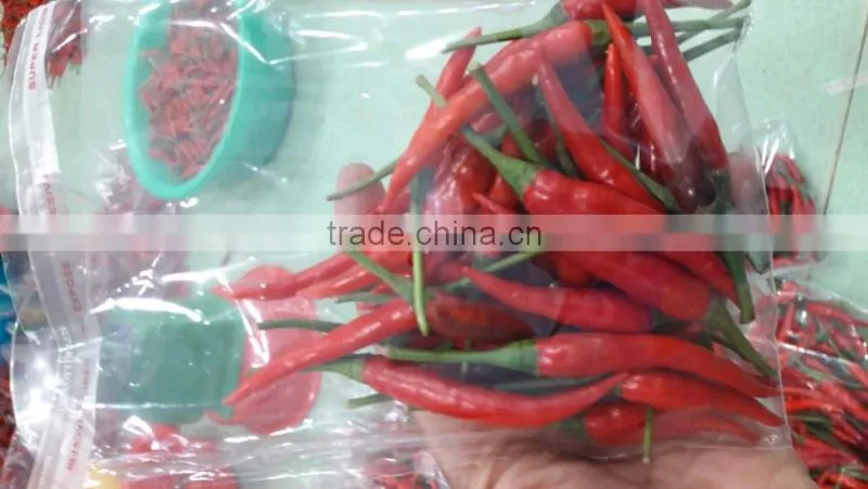 HOT PEPPER, CHILLI +84963818434 whatsapp