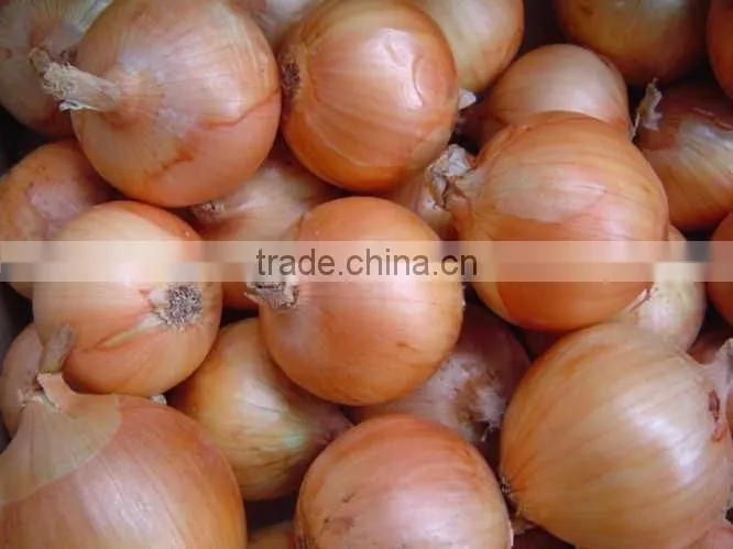 FX-128-3A High Efficiency Hot sale Onion Peeling Peeler Machine