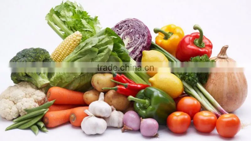 industrial non-ferrous metal detector/fruit and vegetable metal detector/metal detector for metal pollutants