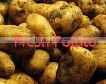 Industrial Potato Chip Maker Machine