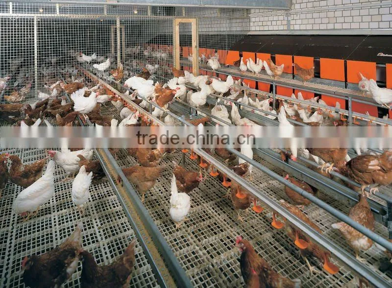 High intensity Poultry floor slat