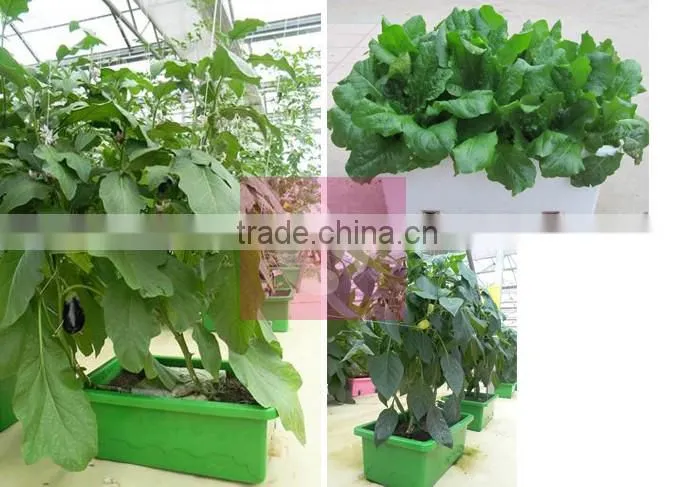 Veranda greening space magic planting pot