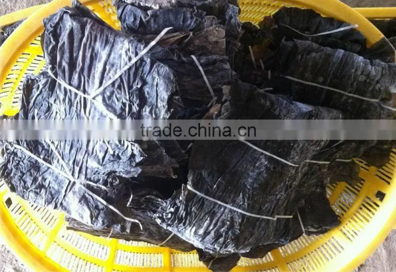 Comestic Usage Green Color Dried Whole Plant Part Kelp Seaweed Sheet