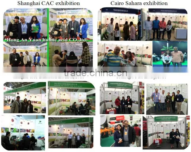 Hot Sale Organic Fertilizer Enzymatic Amino Acid 80%