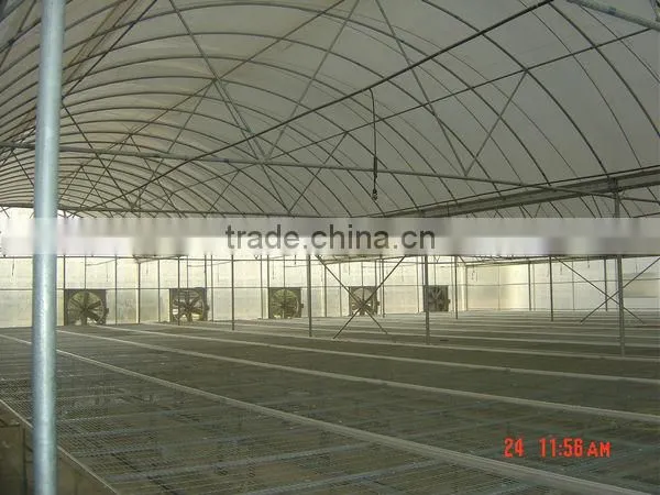 Agricultural Plastic Film Arch Greenhouse
