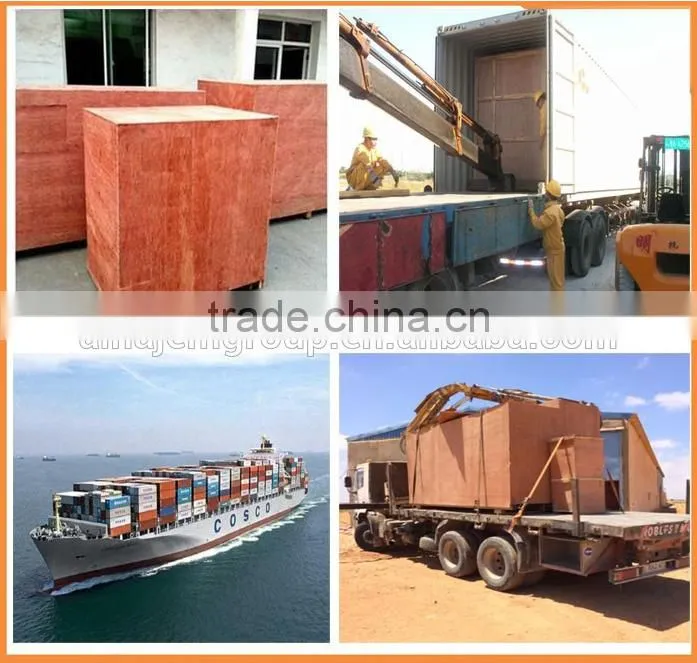 4 head Linear Weigher packing machine