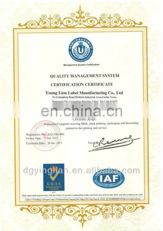 Garment bullion fashional patch nice brand logo patches