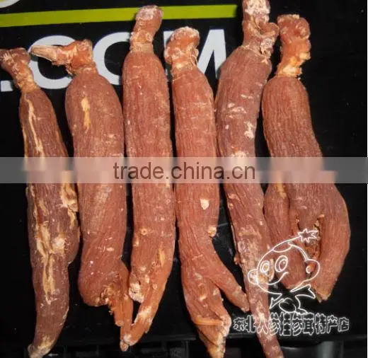 Red ginseng without tails