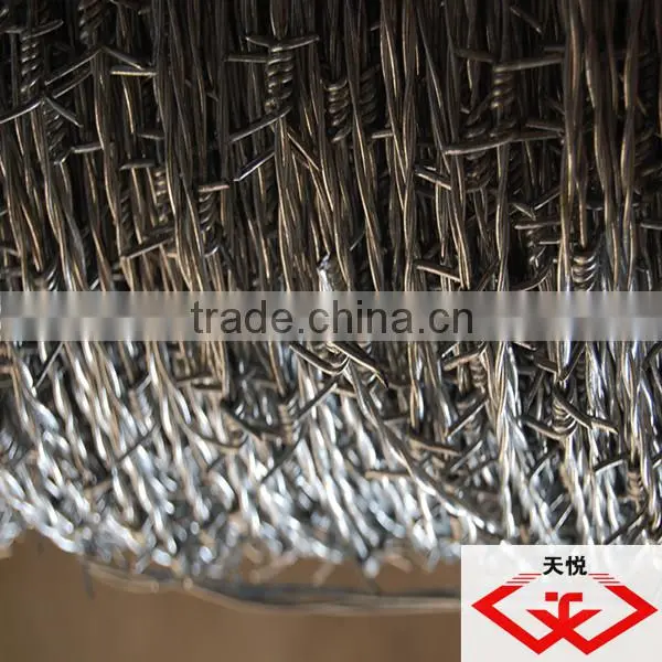 galvanized barbed wire(factory)
