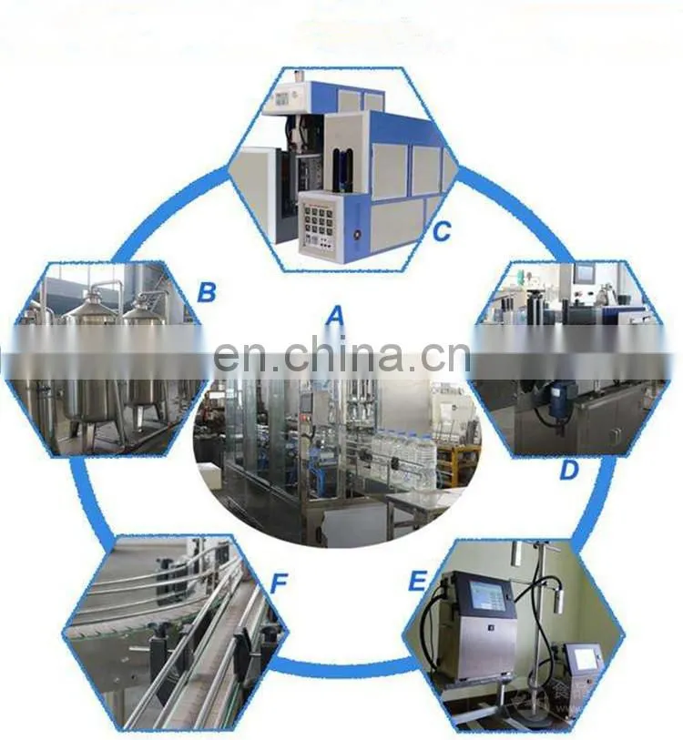 Small scale blueberry juice production line