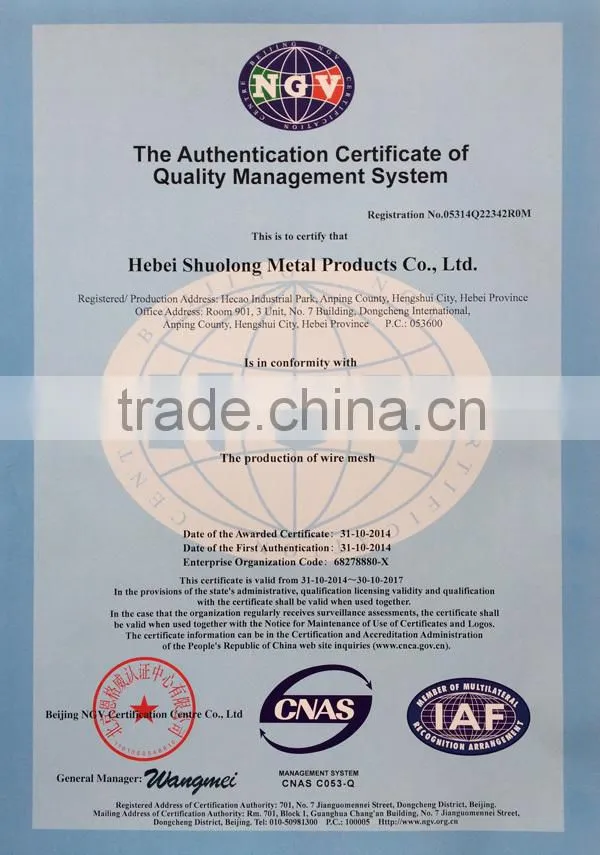 Stone/Rock Fall Protection Metal Wire Mesh(BV certification)