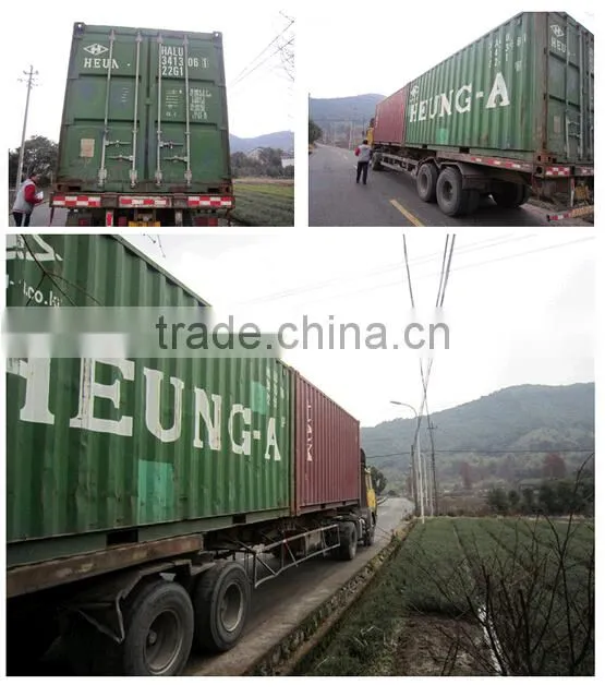 PP material paver stone cocrete mould outdoor concrete pavement mold