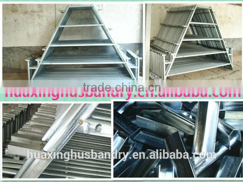 chicken broiler /cock cage with automatic poultry equipment