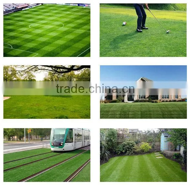 PE artificial grass football field for playground