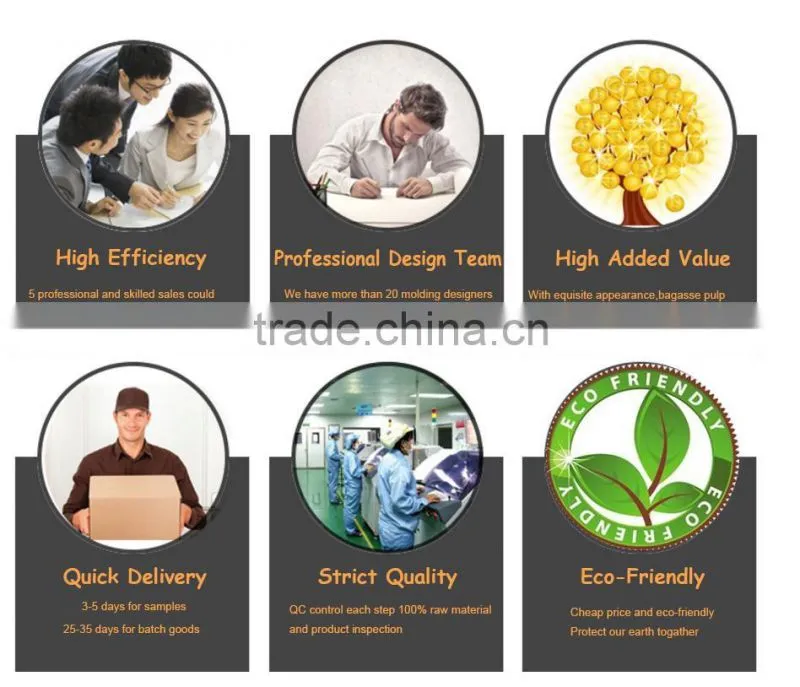 Earth-friendly compostable moulded pulp packaging tray,Wet pressing sugarcane pulp Molded packaging