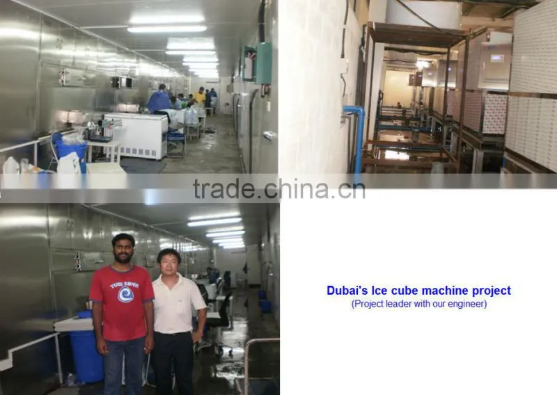 Guangzhou CBFI Cube Ice Machine 5 MT in 24 hrs deliver to Cebu, Philippines