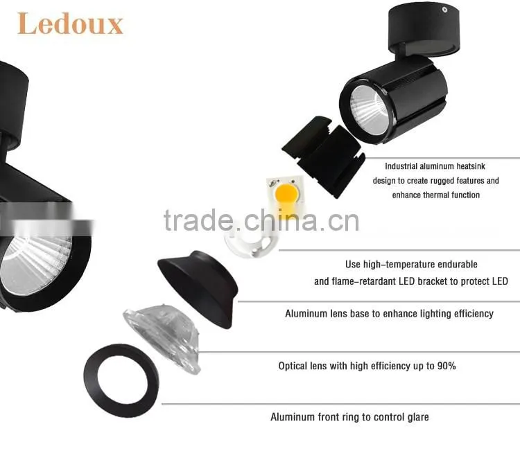 adjustable high power 30w cob led ceiling light