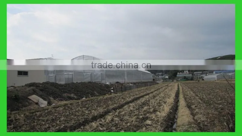 Export to Japan agriclutural Polycarbonate greenhouse