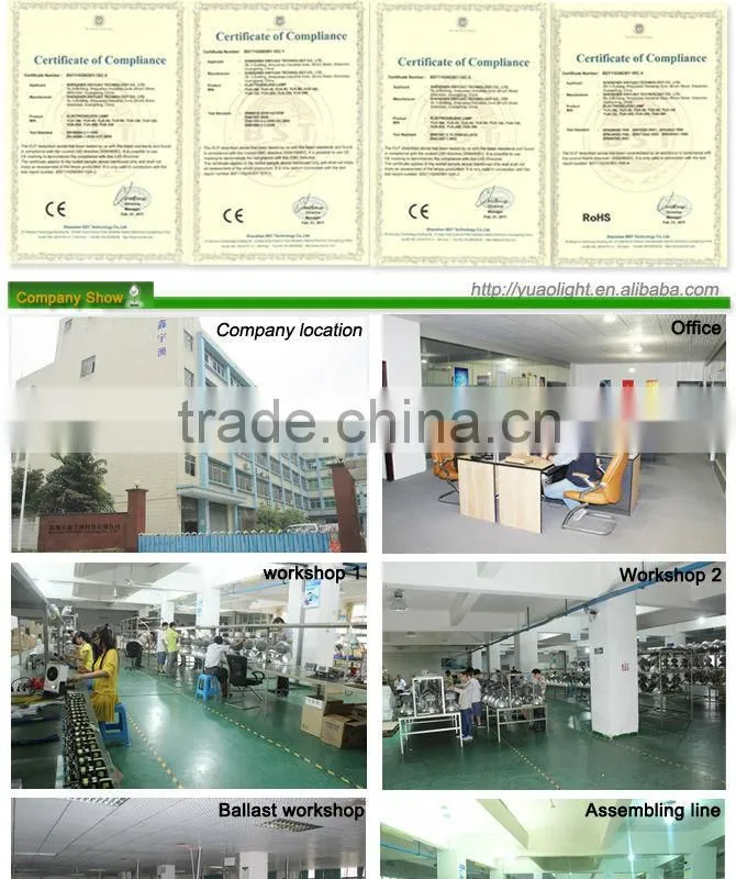 eco friendly induction magnetic lamp