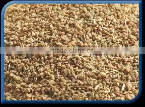 Celery Seed