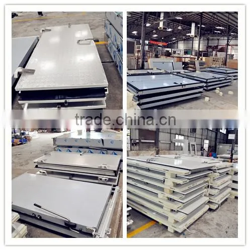 polyurethane Cold room door