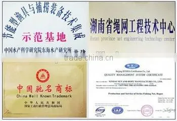 High quality PE Raschel nets