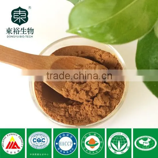 Green tea extract powder for beverage supplements 98% polyphenols organic and pure