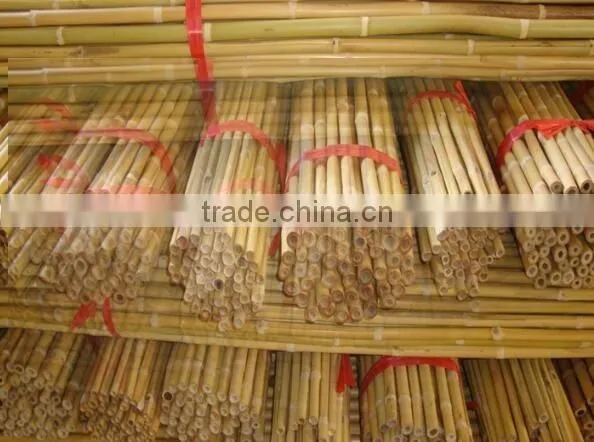 Bamboo poles and Bamboo bent pole