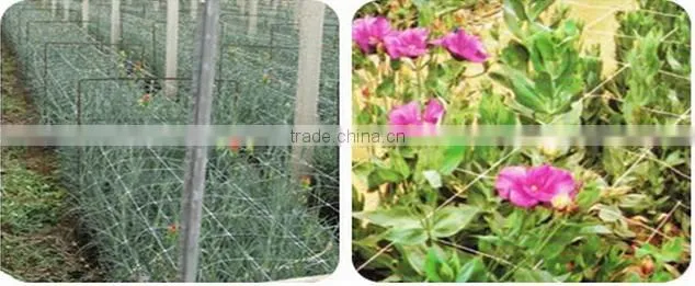 hot selling high quality bean cucumber BOP Net Plant Climbing Net