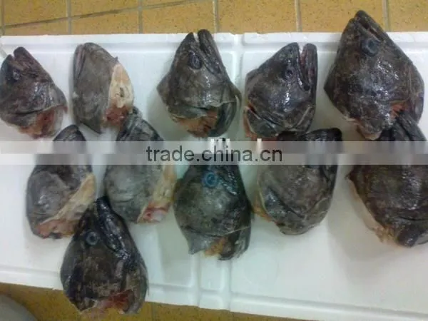 frozen greenland halibut head for sale