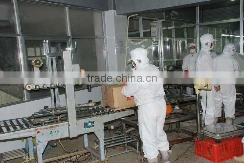 Low price China Export Frozen Whole Round Black Tilapia