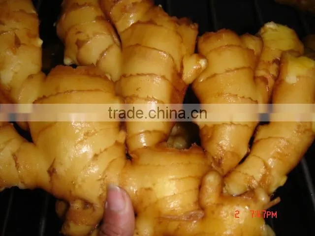 Organic fresh ginger