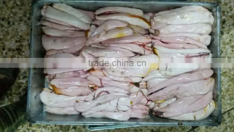 Frozen Mullet Roe