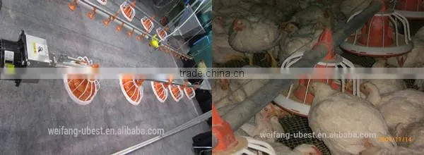 Low price Philippines poultry farm house design broiler chicken raising equipment