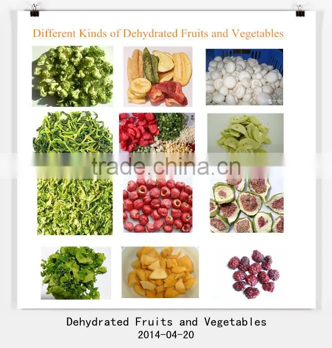 15m stainless steel mesh belt commercial tropical fruits and vegetables dehydrator/drying machine/dryer hot selling in Singapore