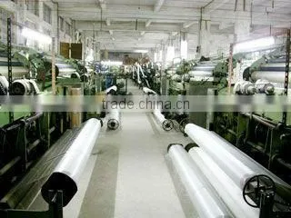 cast fishing net