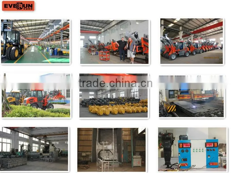 EVERUN brand CE EPA approved 800kg compact loader with torque converter