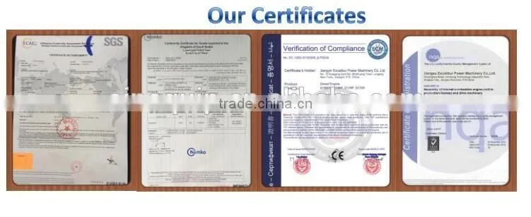 Surface Concrete Vibrator/Gasoline Surface Concrete Vibrator Model SV38